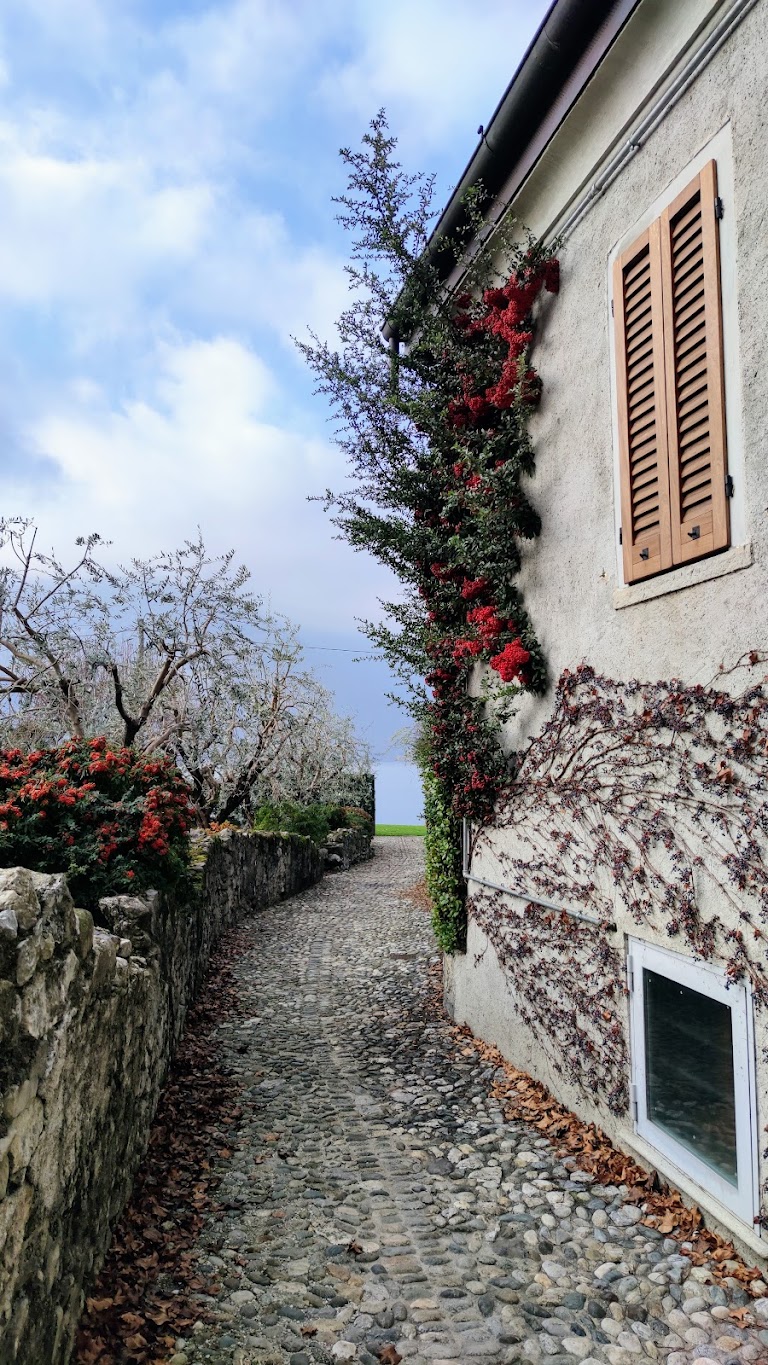 IMG_20230106_115906~2